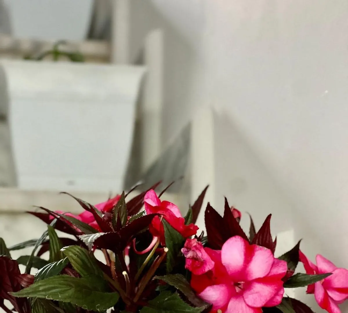 Apartment Guest House Korce